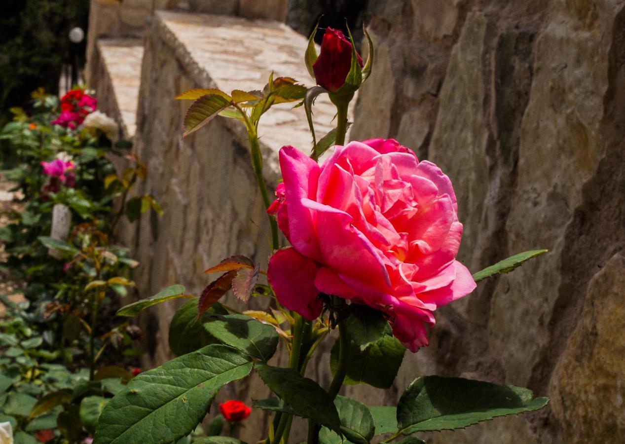 Charisma Boutique Hotel Parga Dış mekan fotoğraf